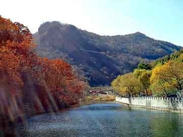 新澳门期期准精准，塑胶市场